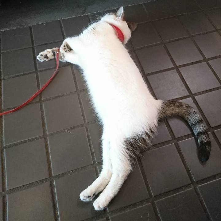 F7498ec5 1844 41ec a807 70ffa7b5d76b 1535011759058