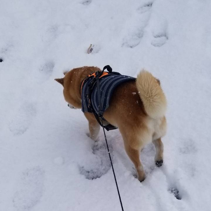 F749997c 8830 4425 9c68 f22f11820b10 1640408505122