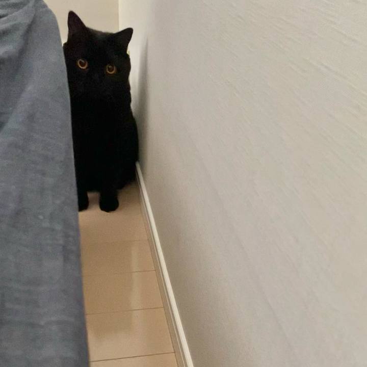 F749a526 138c 42ba 87ff f98ebfba4df2 1635896327043