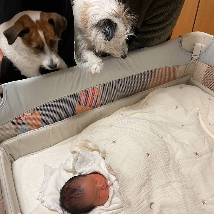 F749efc7 bef5 40b4 8900 0a9bc45adf54 1700298831183