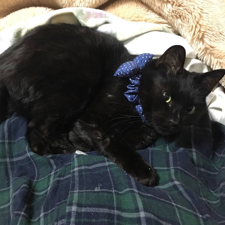 F74a0e9a 4b81 45f1 88eb 1aba683a0a98 1551365561903