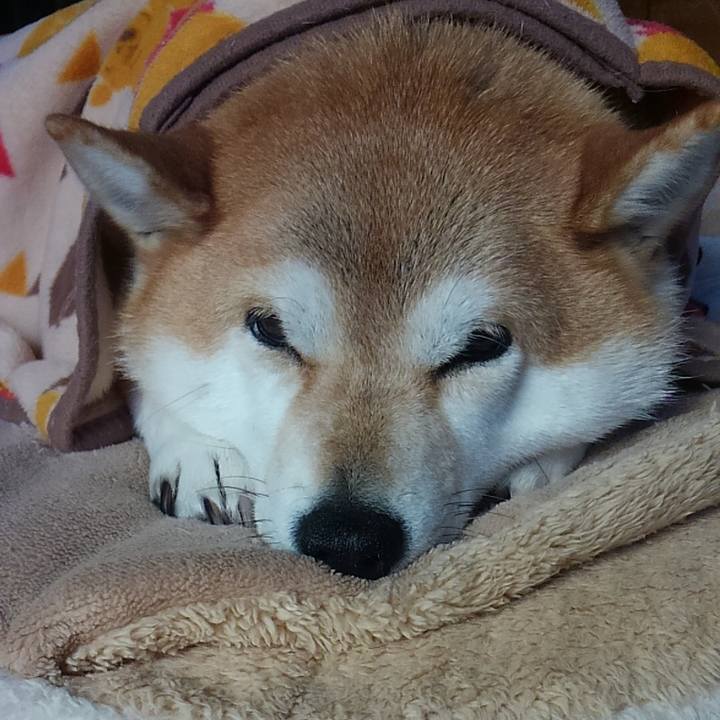 F74a562e bb34 4889 9347 90cb6bded674 1606779624240