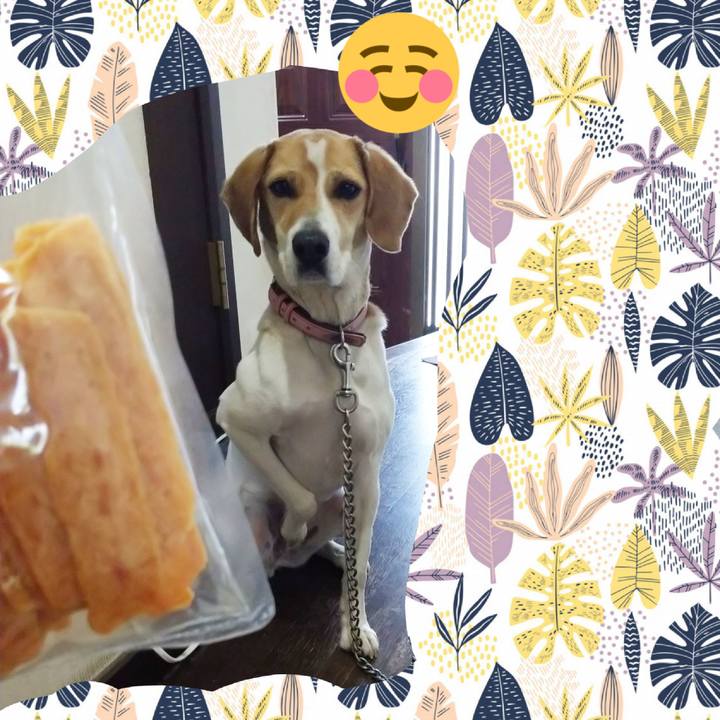 F74a8b9d 75f3 4848 a046 4edfd97d7af1 1590306173564