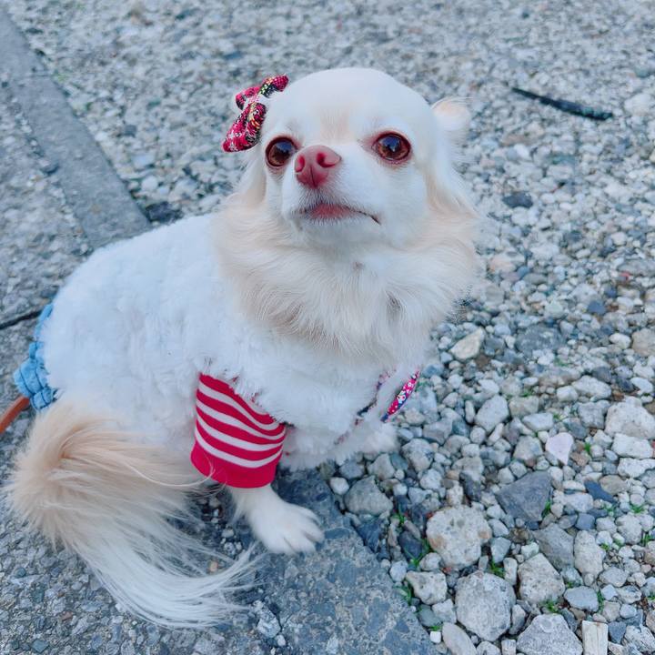 F74a96ab 7c3e 4eb8 81f4 afa36fa003c3 1702897686485