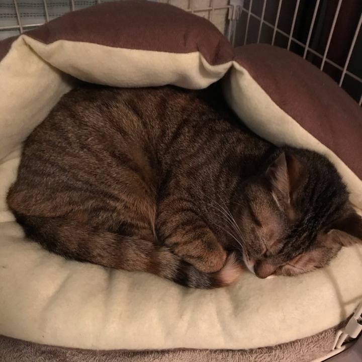 F74a9c08 12b8 4374 b055 b2de9a52c0c2 1579606057493