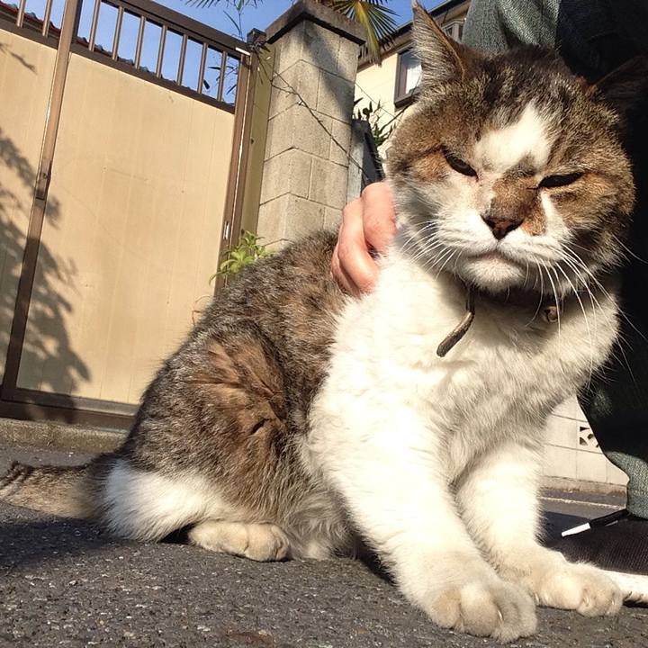 F74ac3ea 07cb 4b93 93c5 6827d337b8ae 1510574252535