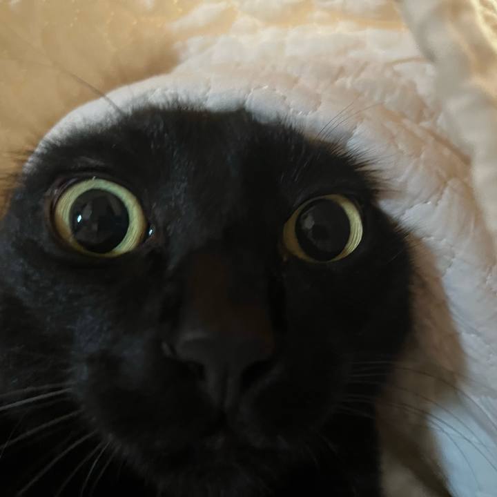 F74ae88e 81ff 4f36 9792 f49e036d555f 1746068949334