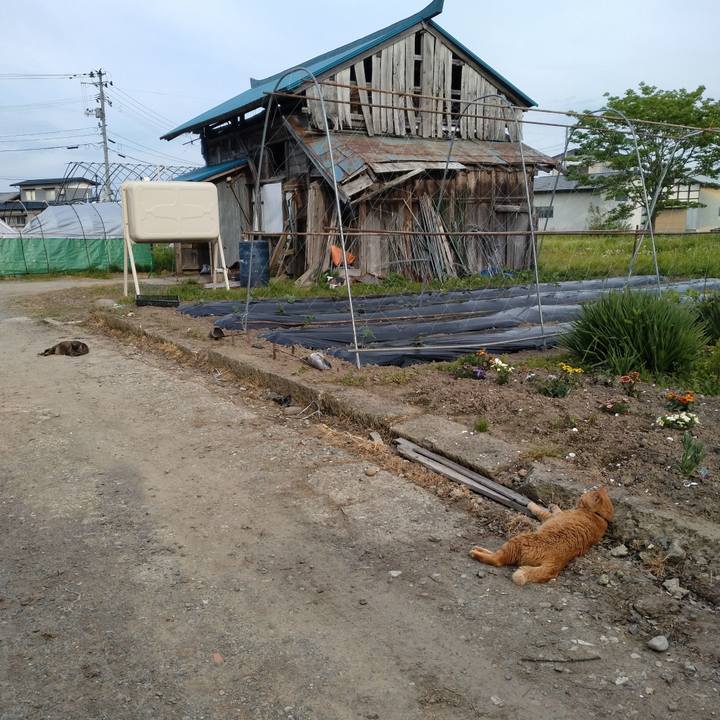 F74aeebe 415f 4b4e a04e 61bd8572c5ad 1747388859089