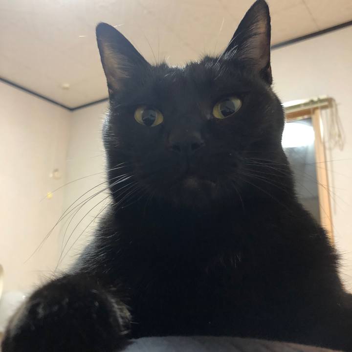 F74b187b 7833 455d b735 28f403d145bf 1676297075146