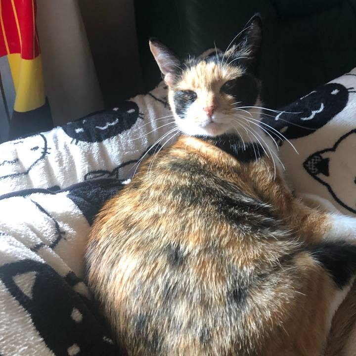 F74b19e8 3246 437b a5fb b162a40ef044 1622714059348