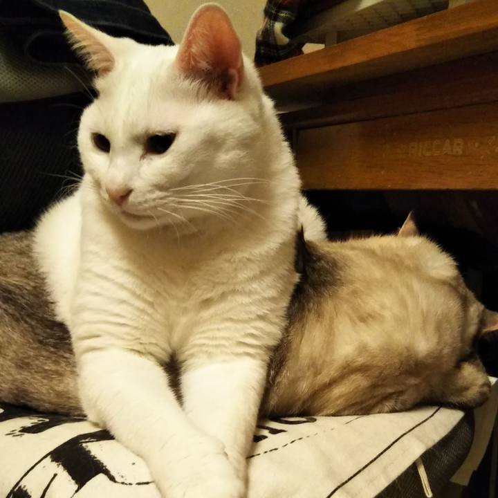 F74b1e6f b968 4e24 8e34 481b397f39bb 1573053818443