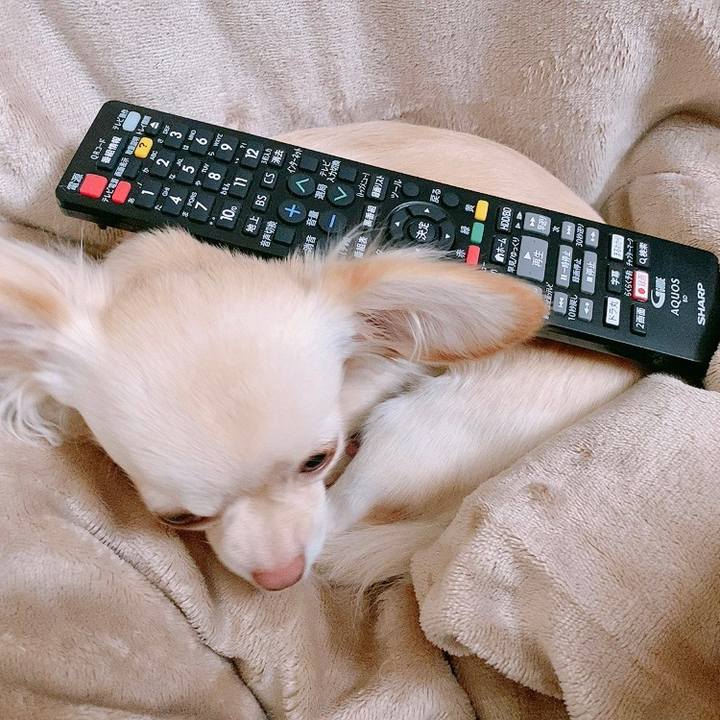 F74b209c 0ef7 47e5 8600 52f2eef3bc78 1611810842961