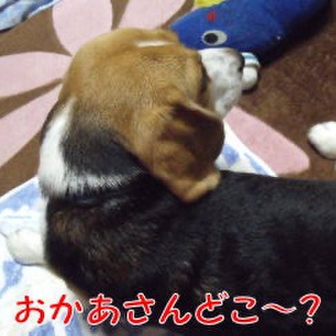 F74b82ee 3a6b 4620 affc 7f7db280070e 1715739768868