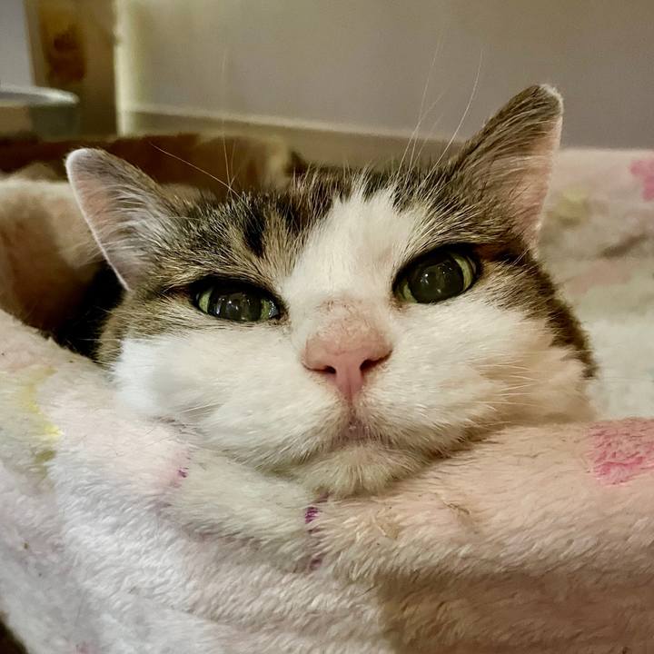 F74b9287 c89e 4902 8efe eb4741d3a56d 1684420182382