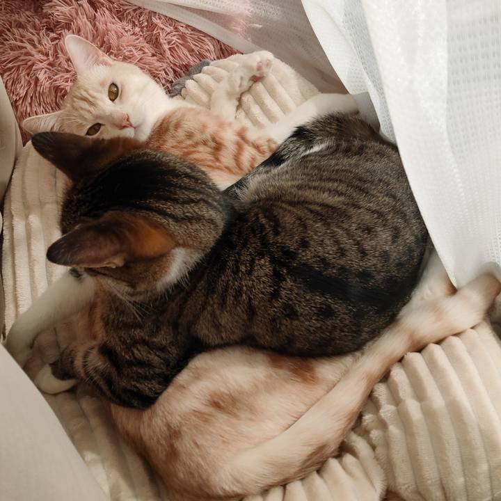 F74bbbb6 b546 412d 9a1d 1fbc43ef5cab 1675137581265