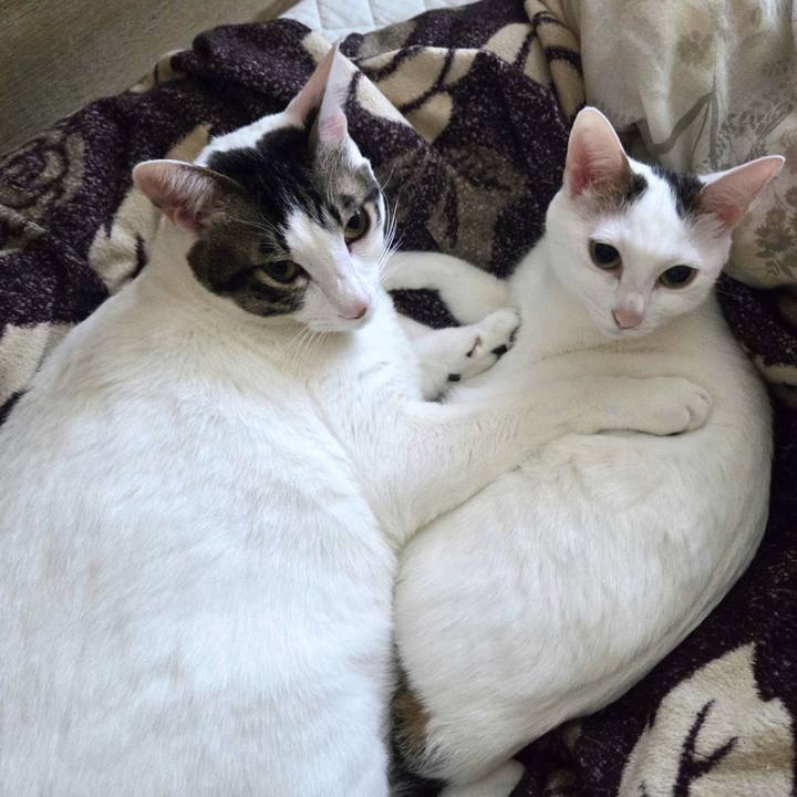 F74bd500 2d30 4881 97bf 496c603bfabe 1764045462918