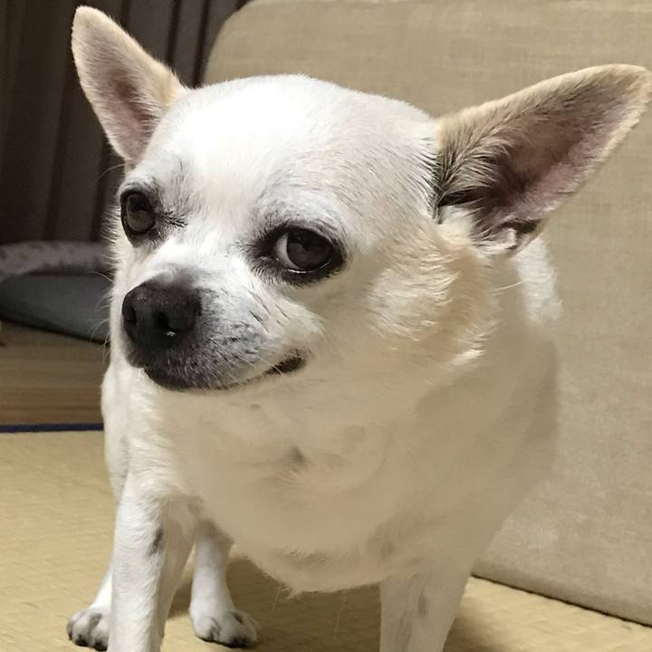 F74c0ee3 14f3 428d 8960 7ad826d19bed 1601214784779