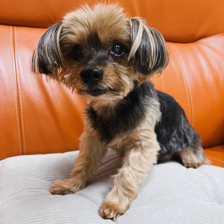 F74c13f5 0123 48c5 892a 1f880239f3cf 1757733752119