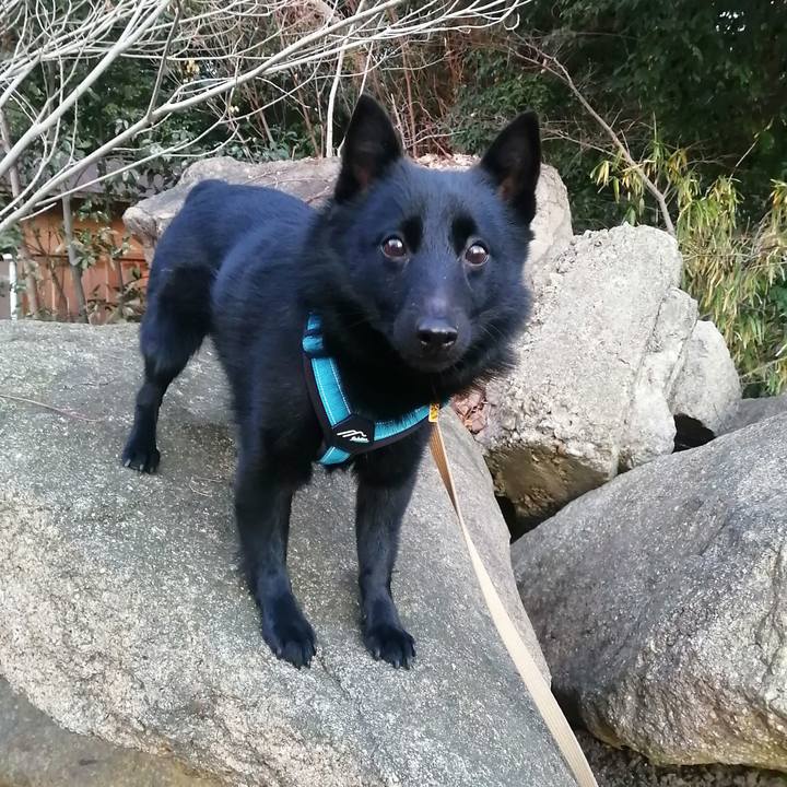 F74c44c6 244b 41a7 b122 82e397145b2e 1673561463434