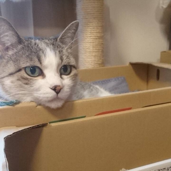 F74c895b 58e9 4d69 ac56 81f9b6a54b63 1770680329898