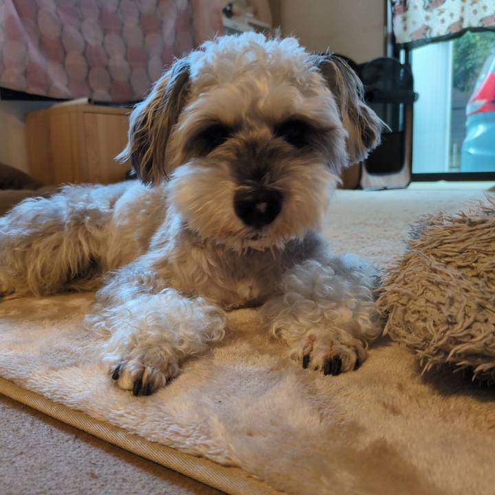 F74cb074 eee6 4888 a343 508823cd76dd 1759016124095