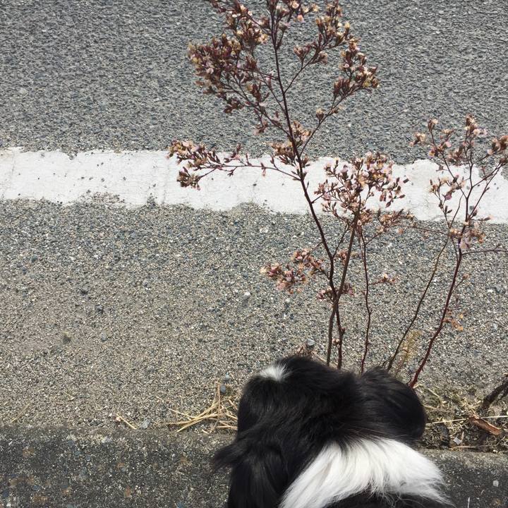 F74cb895 739a 4a81 b98d ec1a058a4762 1541551841825