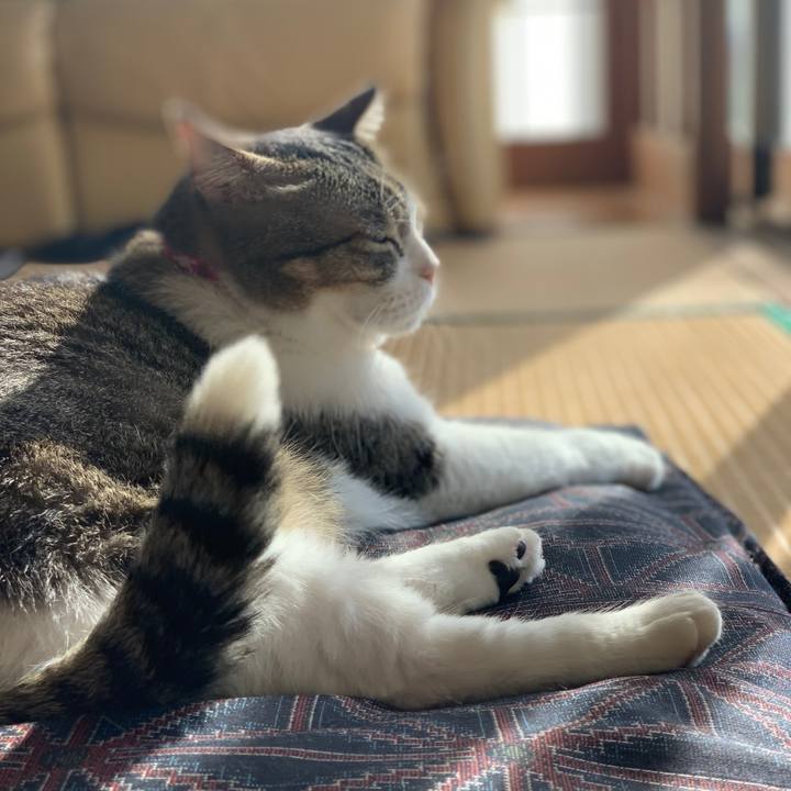 F74cdcb3 e2bc 45da 8623 af9b39510913 1633913260842