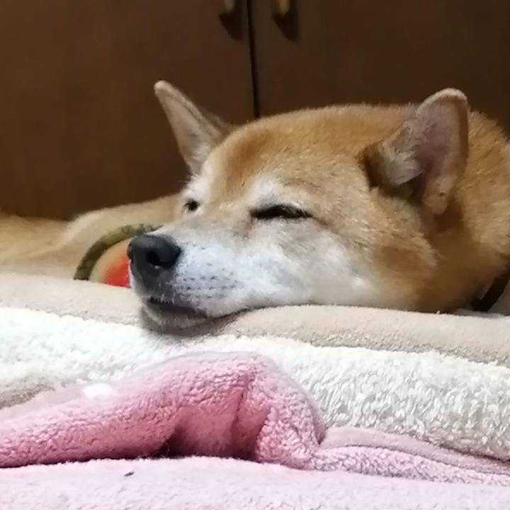 F74ceeb4 a1cf 4e46 becd 64fbfae82820 1694276818605