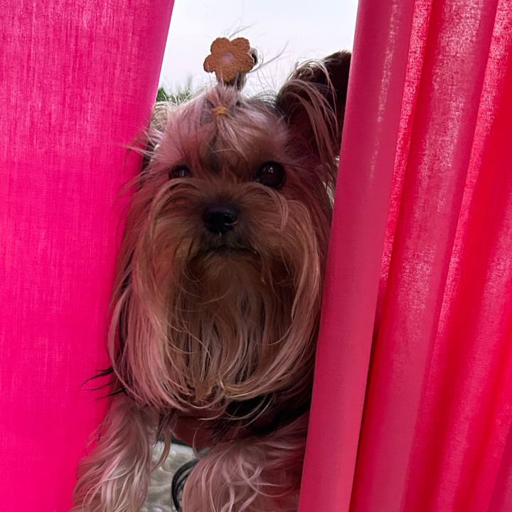 F74d06a8 6e13 42f9 8fd2 c17eb6960f77 1701502973645