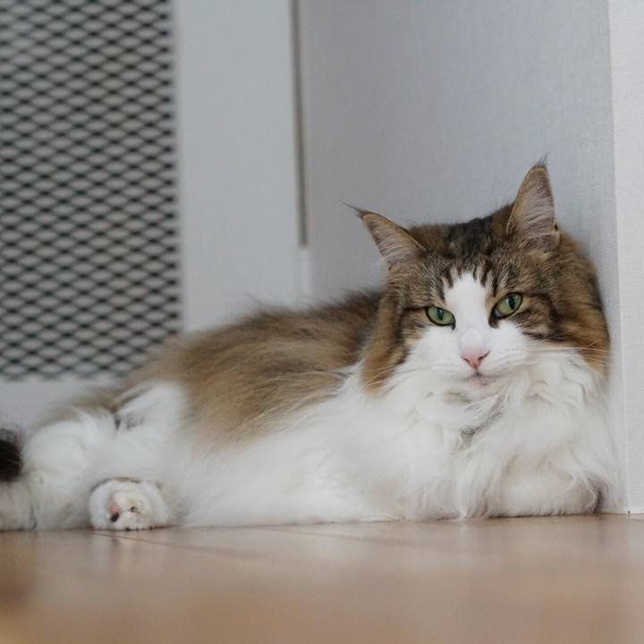 F74d55ac 6e0a 4576 ba04 ffc61fde8d7f 1654070780788