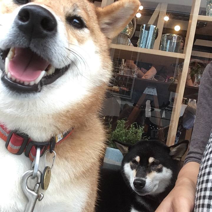 F74d73f9 af00 4a25 866f 9218af84b57e 1538825440917