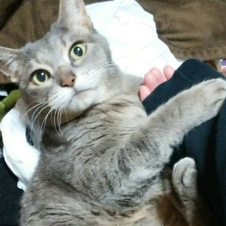 F74d9f9c adde 49c9 8def dd6452bbc406 1586780260376