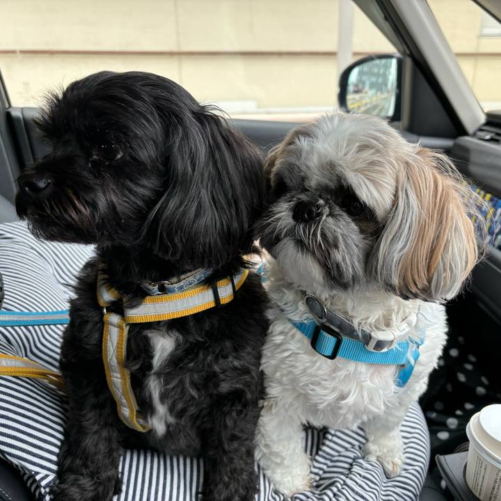 F74db84c 93fa 4d01 9112 c65aebb6fc35 1729733091412