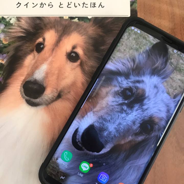 F74dd7ed fa27 4eab 9a18 5a4d9c69cdff 1548142876385