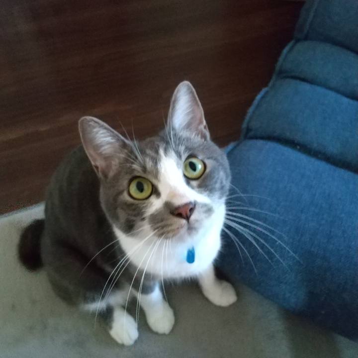 F74e0e8d 7963 4db9 b823 3ead40b23274 1599188089525