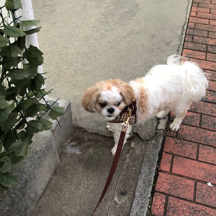 F74e16b1 f3e6 4134 8768 24dbf2f84c25 1539899098912