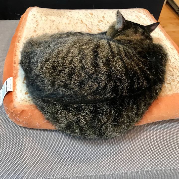 F74e17b8 b9ab 4036 ac9a 45e7505297a0 1577579837607