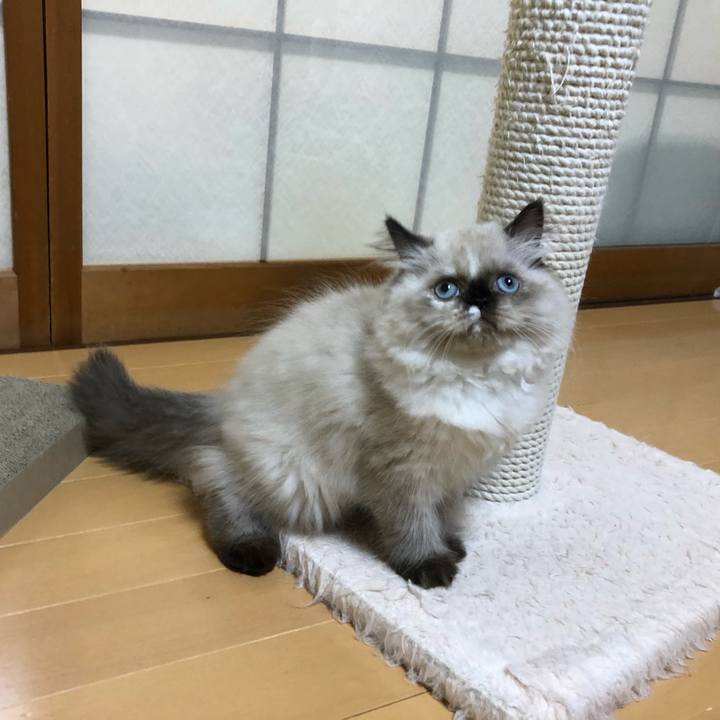 F74e373e 9ded 44a3 81ec a350a77eee75 1630584040203