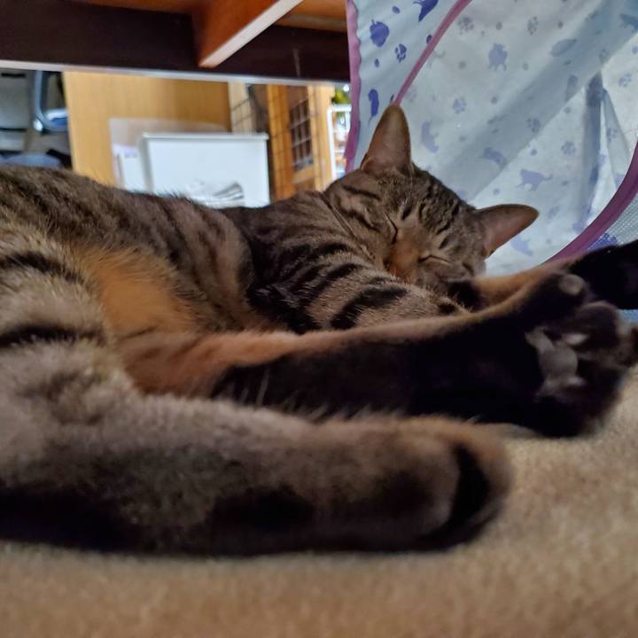 F74e8bd5 8359 4ff0 b206 a3d2cacb9ce4 1706631383369