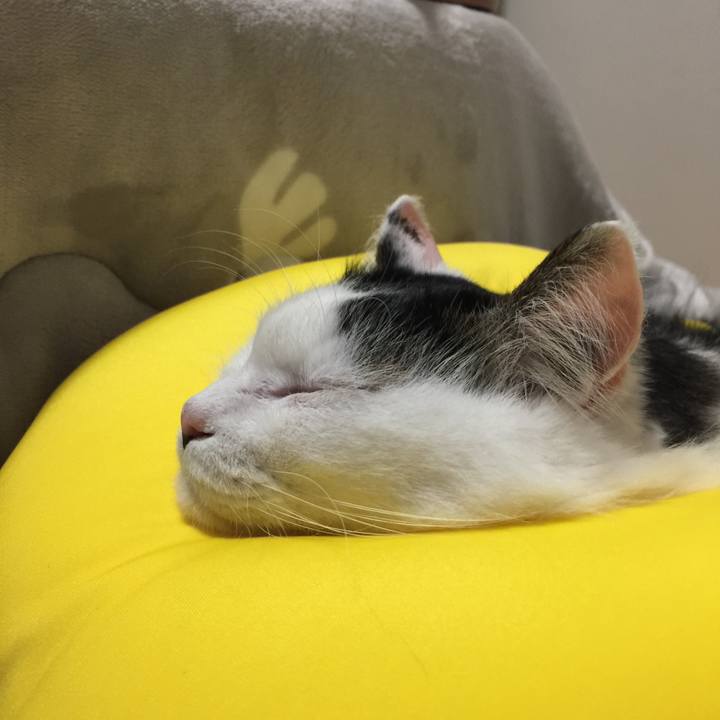 F74e94a9 ef5b 4023 97ad 1347a01e2474 1511000921995