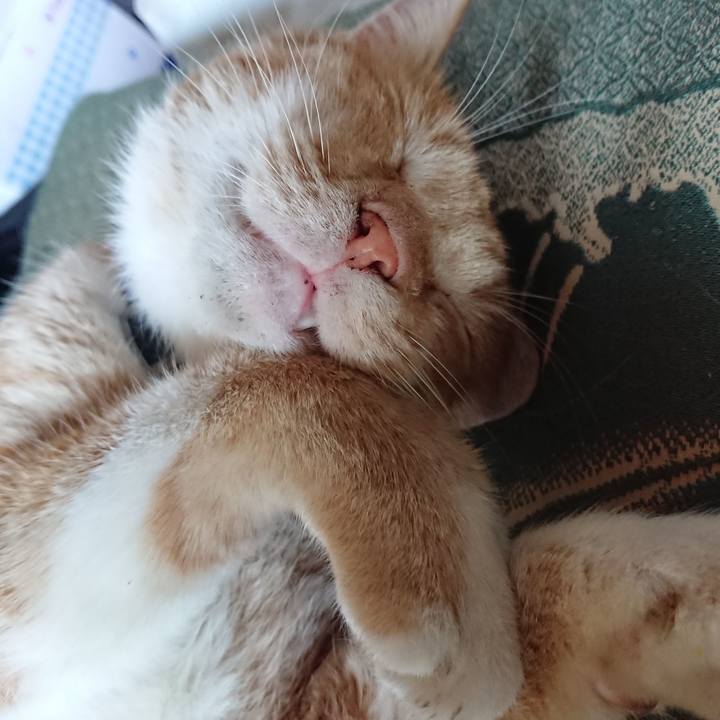 F74ecb95 c131 4bc3 a67b ab1c43426a52 1566115529503