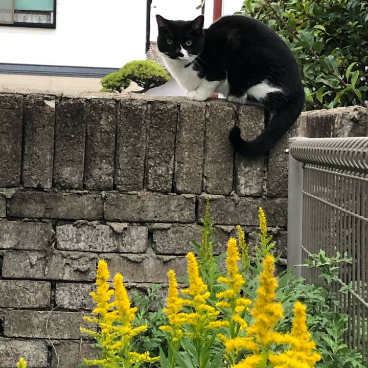 F74eda71 32fb 4cac b502 05b9f3bda0be 1604701789334