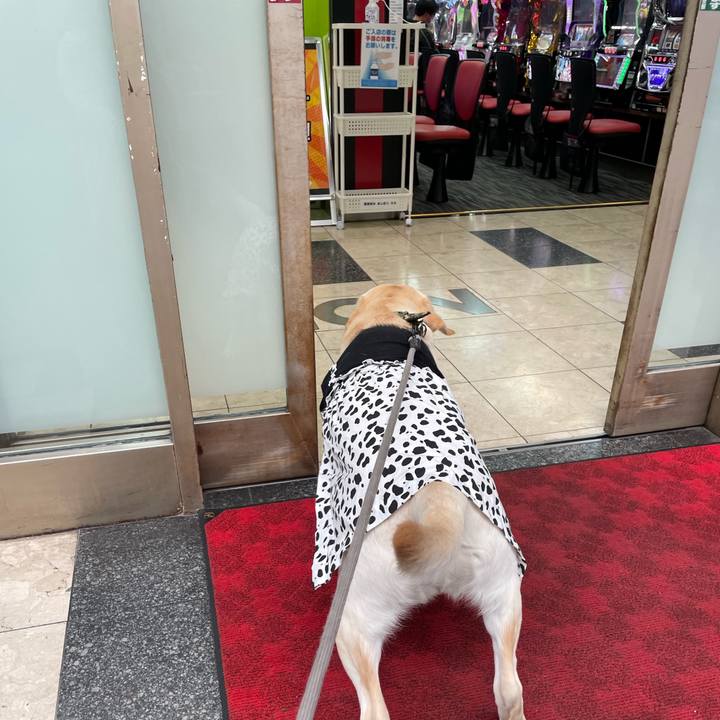 F74ee126 9bc5 4a1b ac17 f9b026dcab57 1643448900345