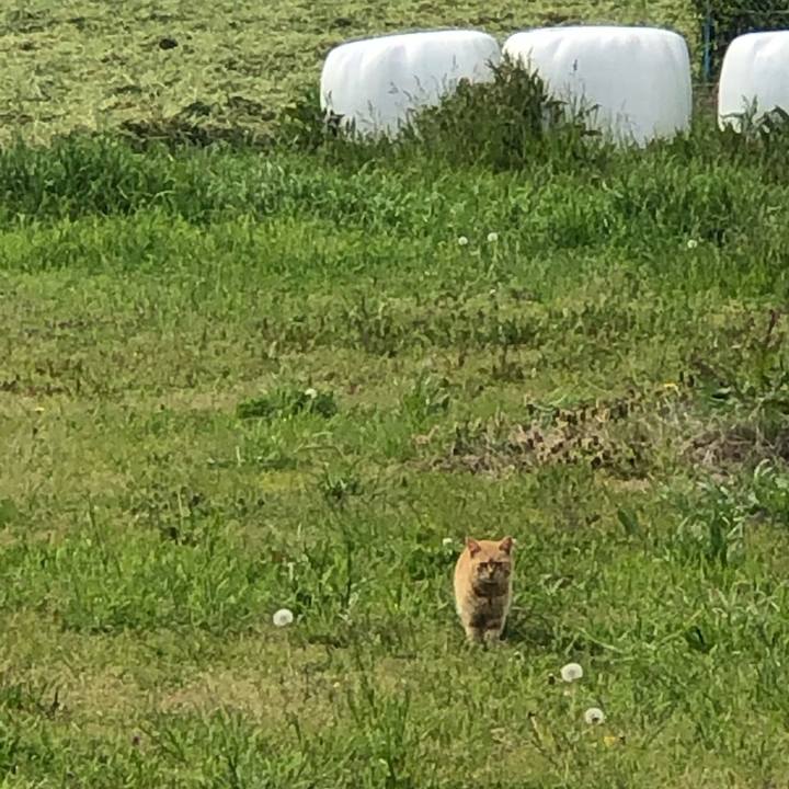 F74f0d4d d442 4f1f 8137 e5beccea7961 1587806723856