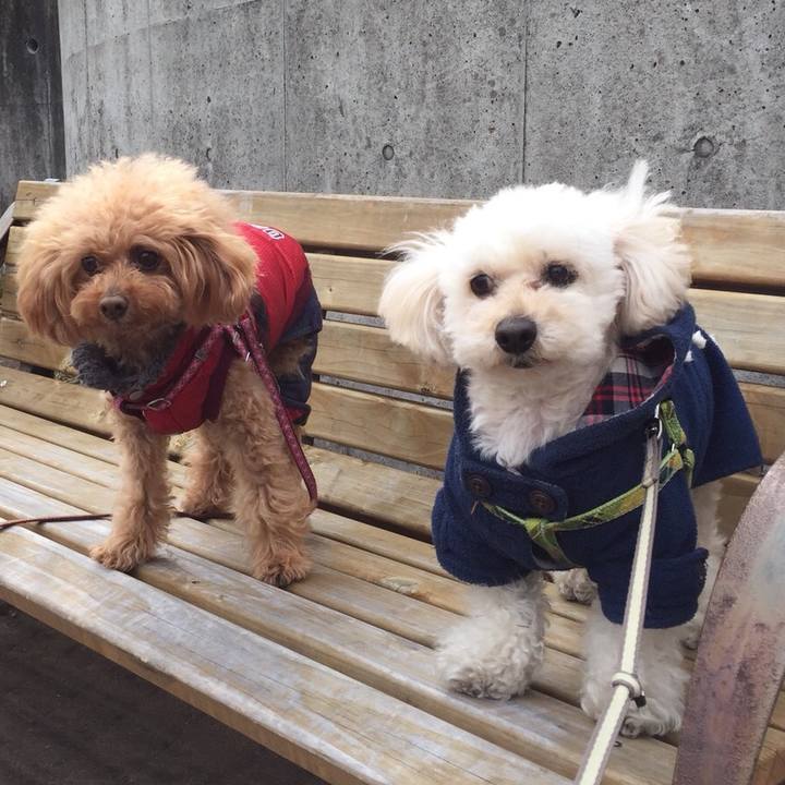 F74f25d4 4817 4caf bde0 4a8b1b03e3ab 1519646825806