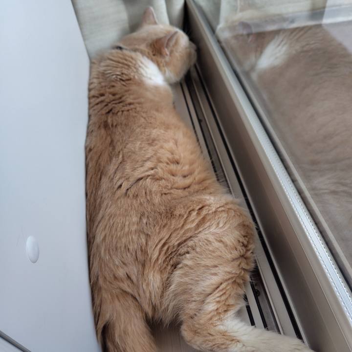 F74f2ee2 bd62 4f40 9382 68de6fd8d760 1726179226285