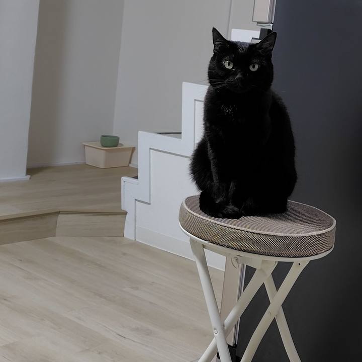 F74f5887 0c5d 4801 974d 9cae533a1c83 1735903307302