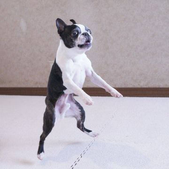 F74f6663 7907 4d2b 8421 f78ada6924fa 1554262730556