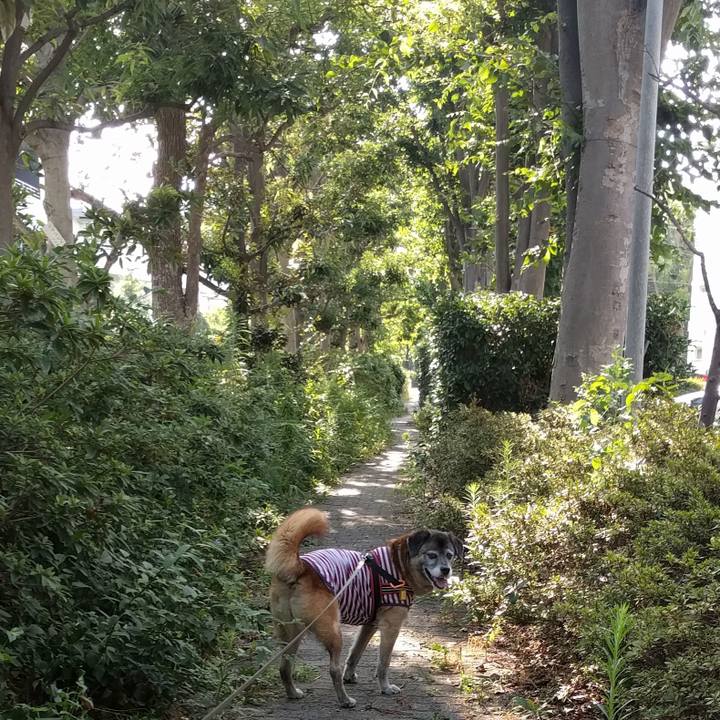 F74f83d2 04e2 4afb 8019 347df747c7bf 1532646935614