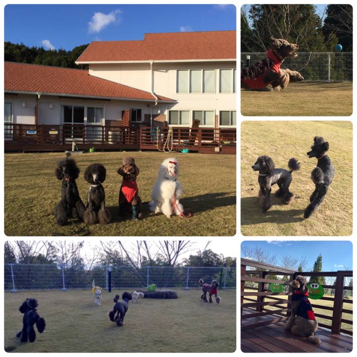 F74fbdd1 b8a7 4047 87d4 6eed529b0566 1511845290128